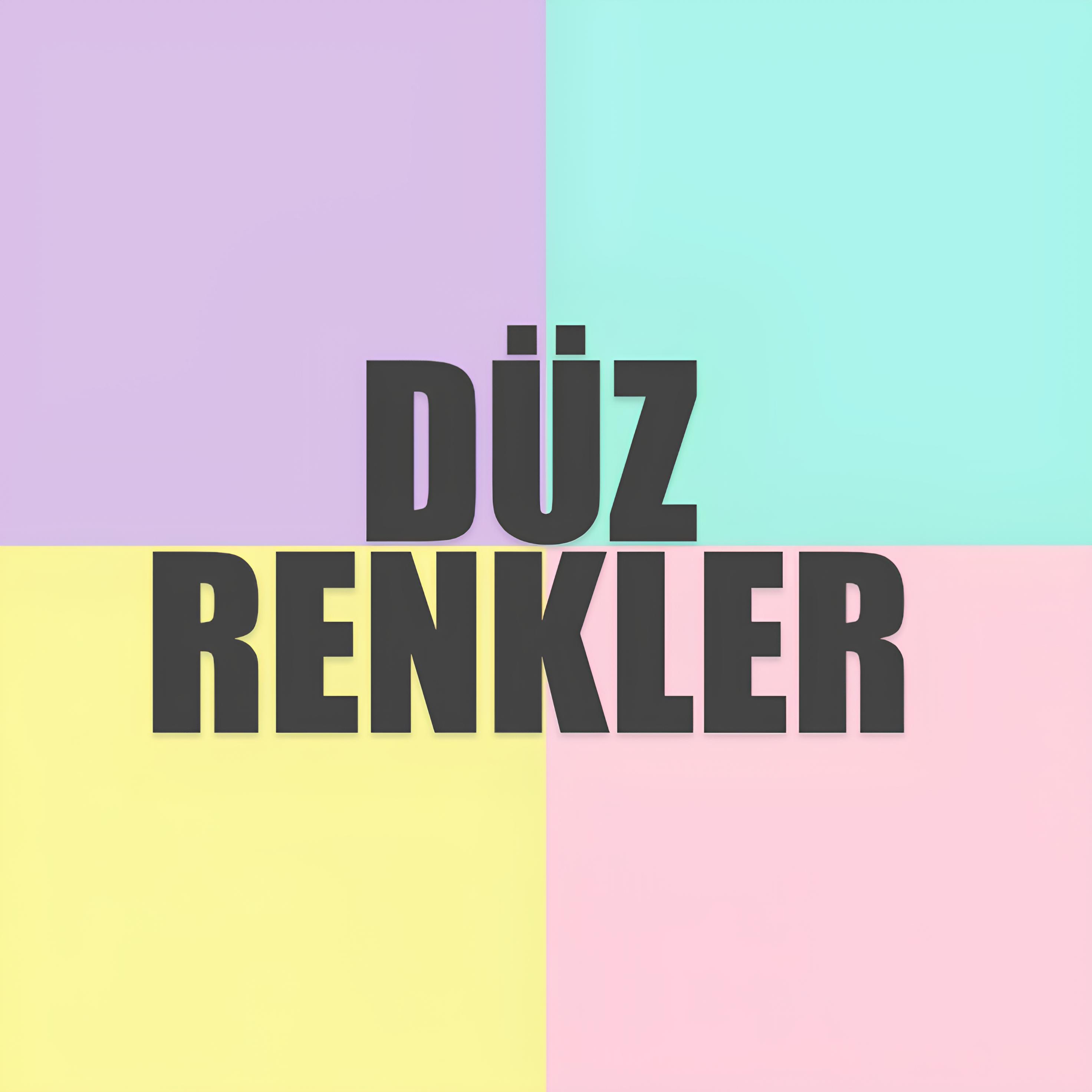 DÜZ RENKLER